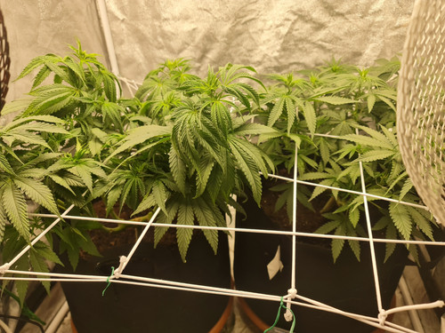 20230205 200401[1].jpg