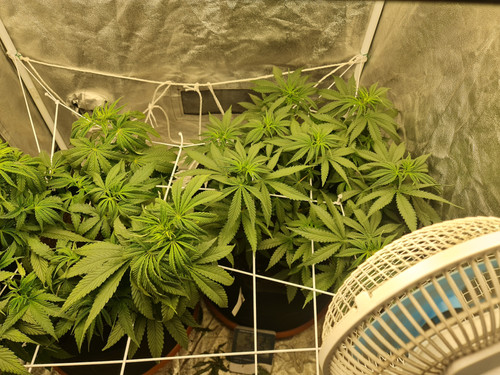 20230205 200357[1].jpg