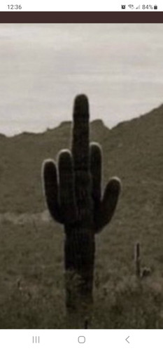 Screenshot 20230202 123622 Brave.jpg