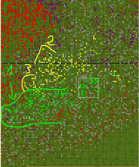 podział plemienia.jpg