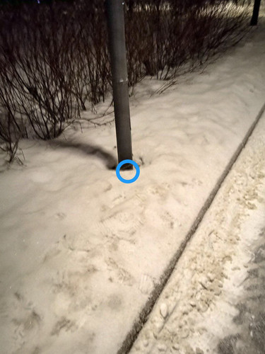 IMG 20230203 201934 291.jpg