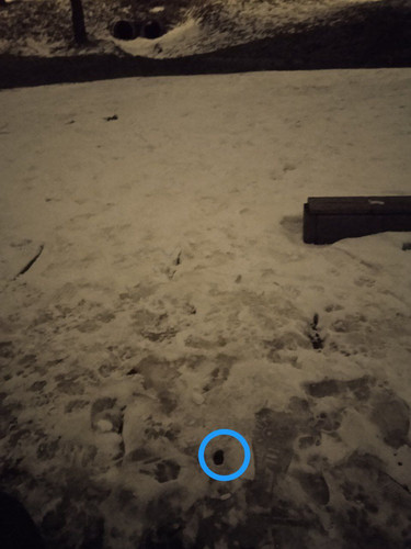 IMG 20230203 201928 001.jpg