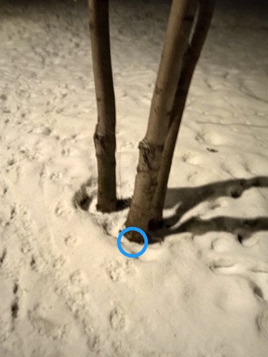 IMG 20230203 201932 544.jpg