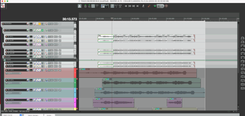 CC track layout bug.gif