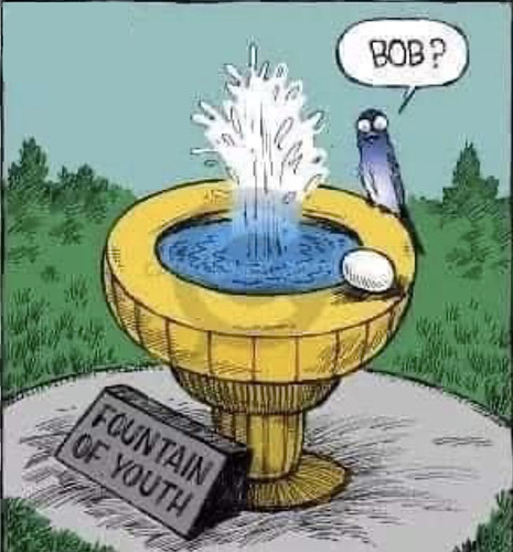 A5A6E7EB AA7C 4C2B 8690 4C4E91125A63.jpg