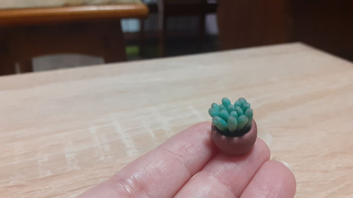 photo 2023 02 05 19 37 20.jpg