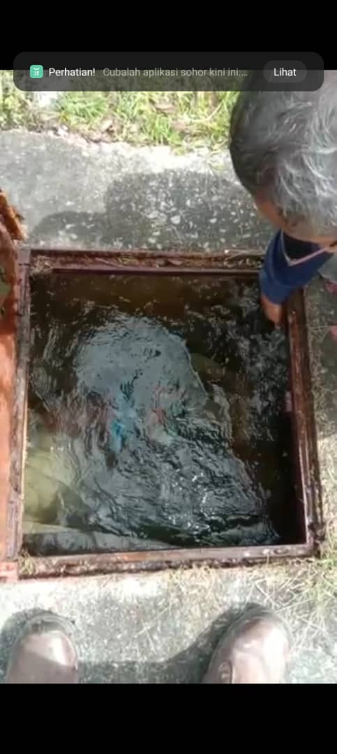 WhatsApp Image 2023 01 31 at 12.32.18.jpg