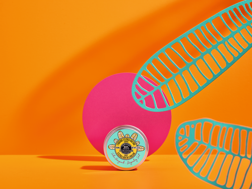 webimage B74A1986 8801 4D6B B48C025DB6CA6D6A.png