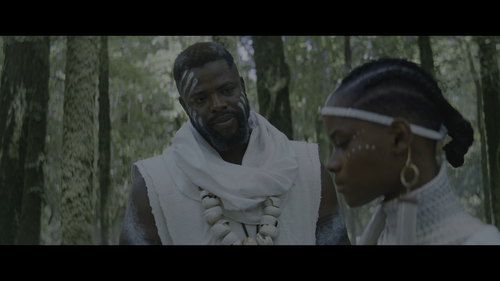 Black.Panther.Wakanda.Forever.2022.2160p.Pad HDR.UHD.BluRay.AAC.2Audio.x265 10bit HDSPad.mp4 2023020.png