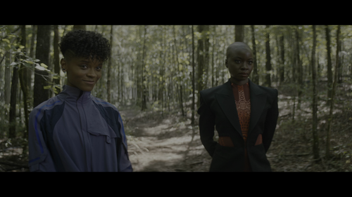 Black.Panther.Wakanda.Forever.2022.2160p.Pad HDR.UHD.BluRay.AAC.2Audio.x265 10bit HDSPad.mp4 2023020.png