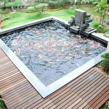 Paket wtp penjernih ikan dan air minum.jpg