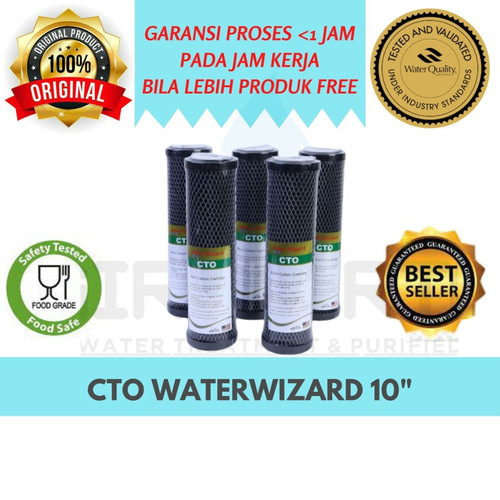 CATRIDGE FILTER CTO WATERWIZARD 10.jpg