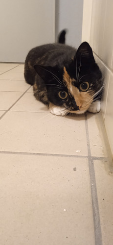 IMG 20230122 202855.jpg