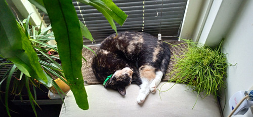 IMG 20230110 124555.jpg