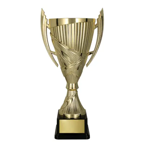 trophy cup 7225 trophy 800x.webp