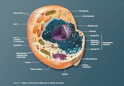 messageImage 1675496537195.jpg