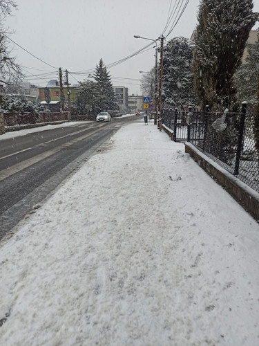 IMG 20230203 141100.jpg