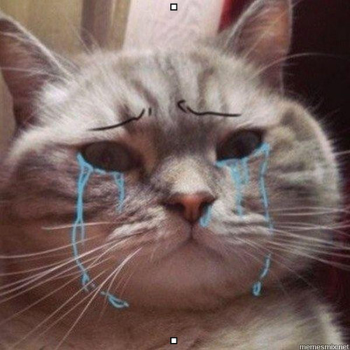 5lccfx.jpg