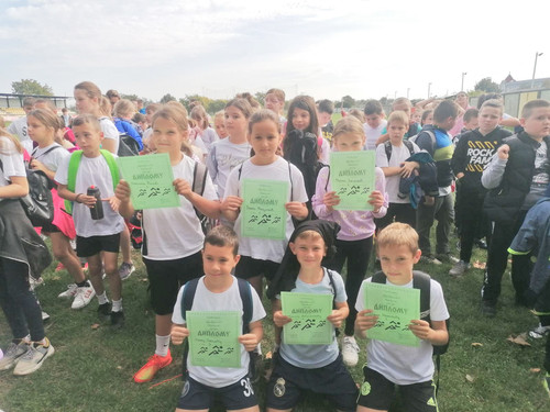 311000943 659647132522291 1450553720336808712 n.jpg