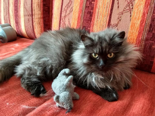 85247981 538360183461067 2174110108772990976 n.jpg