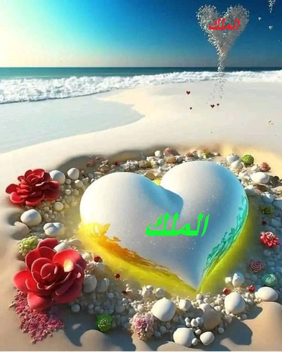 328264080 1424266521712643 7531352103280692465 n Copy.jpg