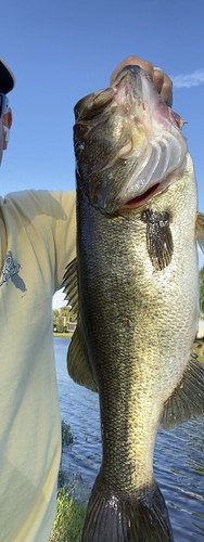 3ADC1724 0D1B 496B 92F6 AFF28E541BD3.jpg