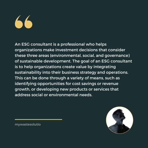 ESG consultant.png