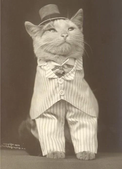 Kitty of Olden Days 1024x1024.webp