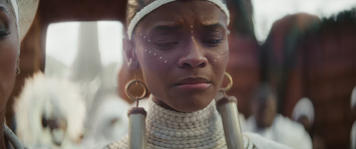 Black Panther Wakanda Forever (2022) (1080p BDRip x265 10bit DTS HD MA 7.1 JBENT)[TAoE] 006.jpg