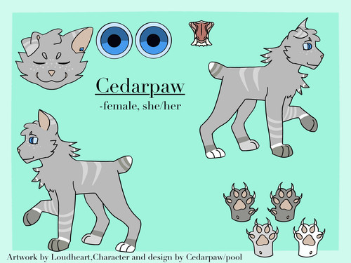 Cedarpaw1.jpg