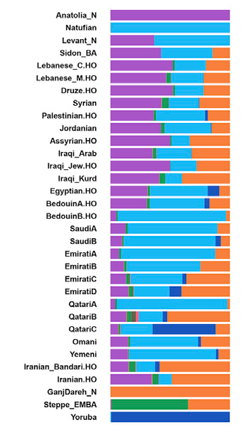 genetic makeup middle easterners 1.png