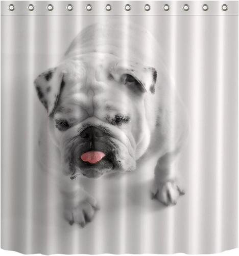 61bKeUTV6TL. AC SL1024 .jpg