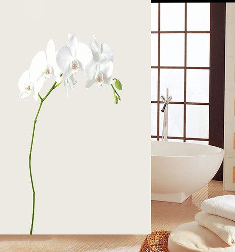 71tbvgixUpL. AC SL1500 .jpg