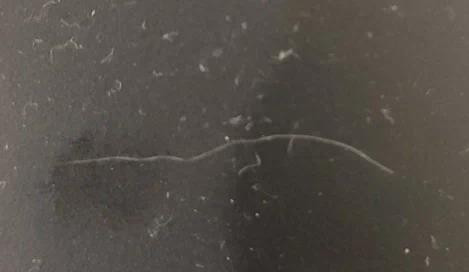 2023 02 06 01 47 36.jpg