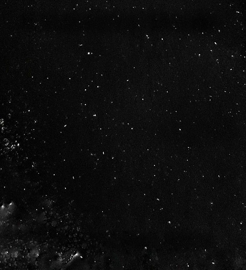 daddyissues copy.jpg