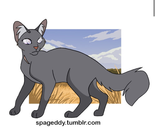 8212902F 75DA 480E B464 9850B6ED3B6B.jpg