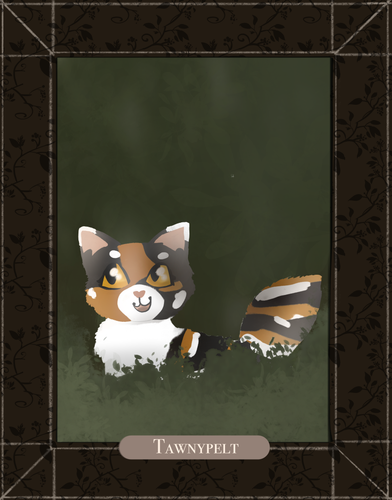 tawnypelt for shadowclan.png