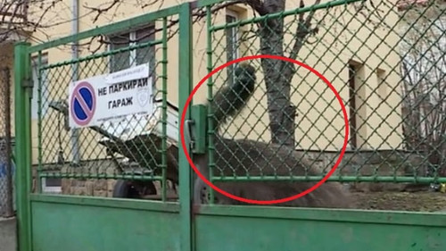 1675578158 untitled.jpg