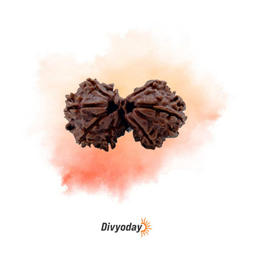 gauri shankar rudraksha.jpg