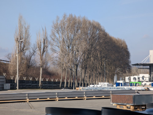 PXL 20230206 132842428.jpg