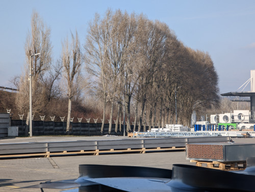 PXL 20230206 133150736.jpg