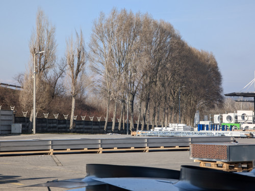 PXL 20230206 133553706.jpg