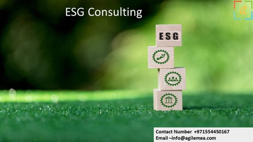 ESG Consulting.jpg