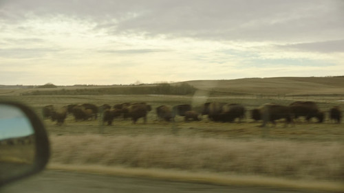 The Last of Us (2023) S01E04 Please Hold to My Hand (1080p AMZN Webrip x265 10bit EAC3 5.1 Atmos Gok.jpg