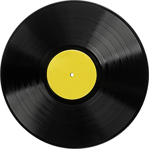 12in Vinyl LP Record Angle small.png