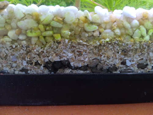 IMG 20230131 133408.jpg