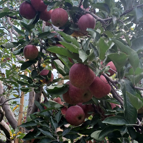 IMG 20220912 071352 776.jpg