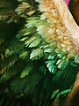 B 143 15.png