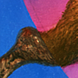B 143 4