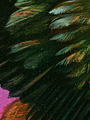 B 143 9.png